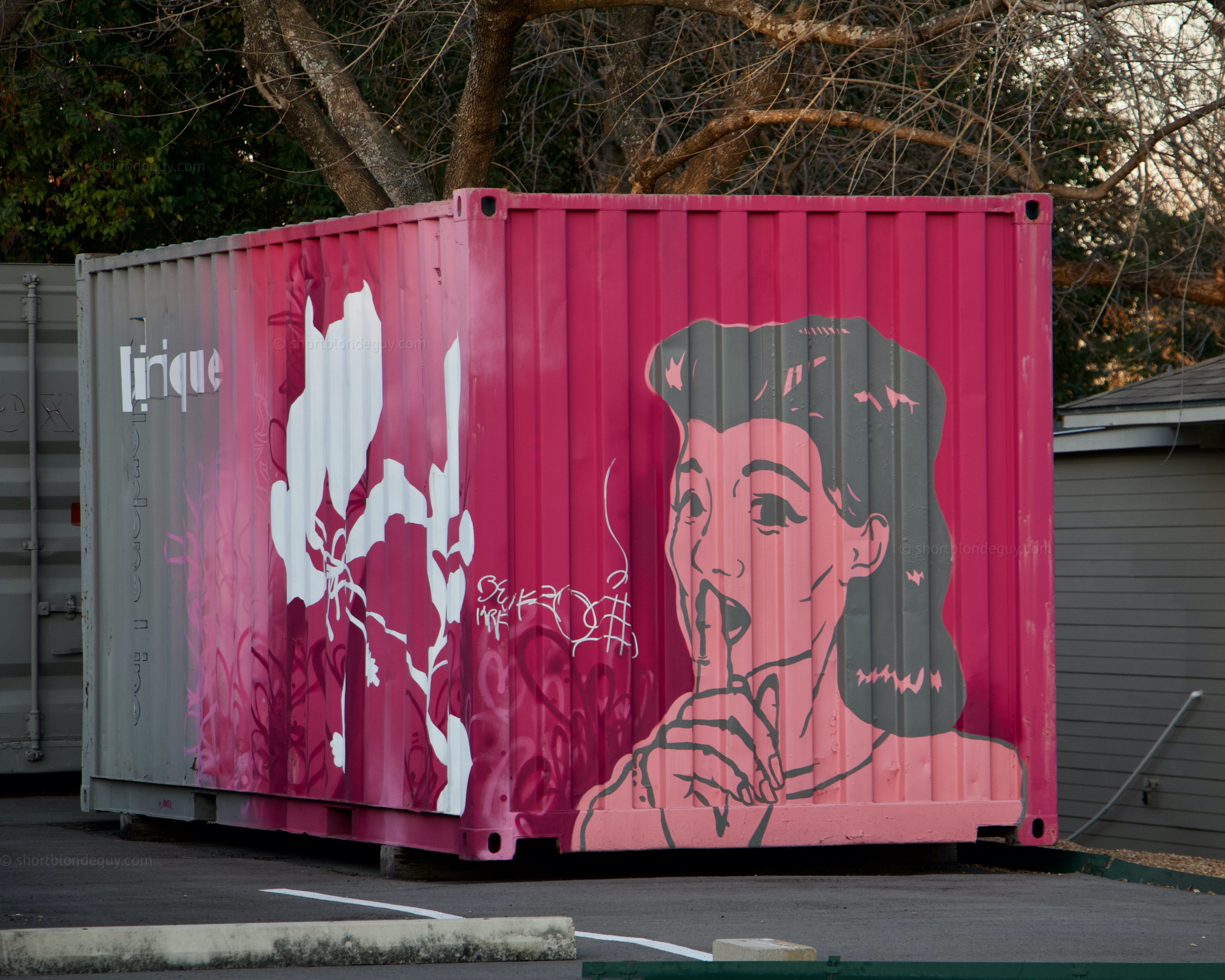 Container Shh